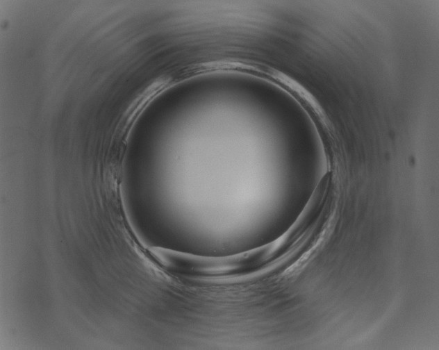 X0000071770809200606301154