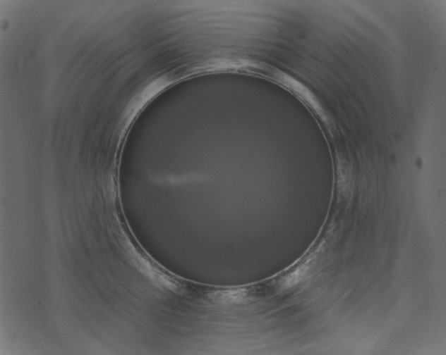 X0000071770810200606301154