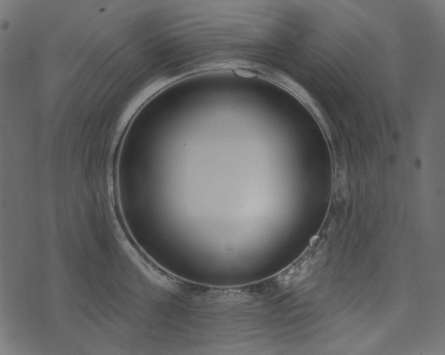 X0000071770811200606301154