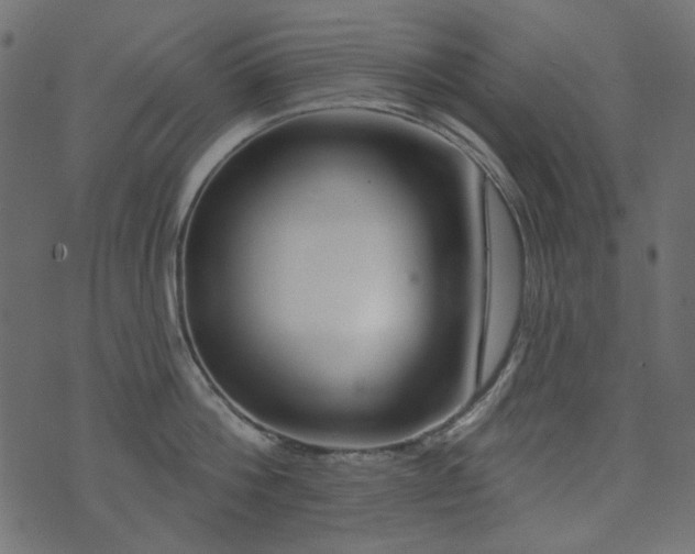 X0000071770812200606301154