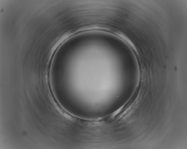 X0000071770813200606301154