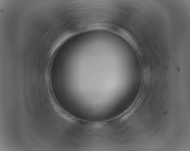 X0000071770814200606301154