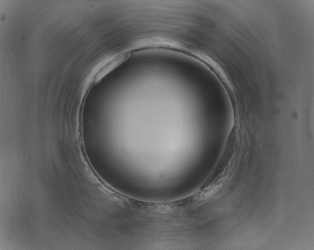 X0000071770815200606301153