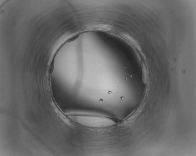 X0000071770816200606301153