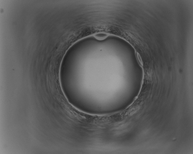 X0000071770817200606301153