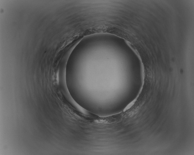 X0000071770818200606301153