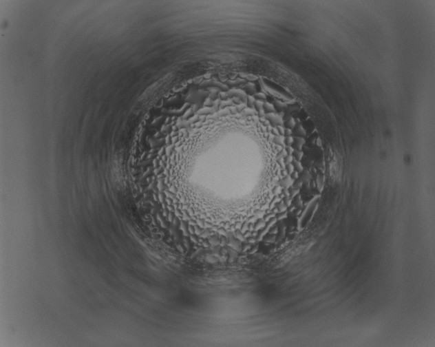 X0000071770819200606301153