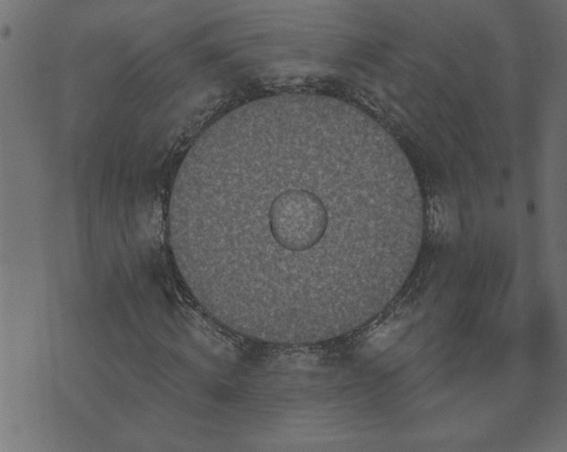 X0000071770820200606301153