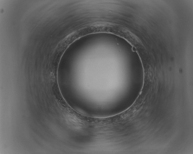 X0000071770821200606301153