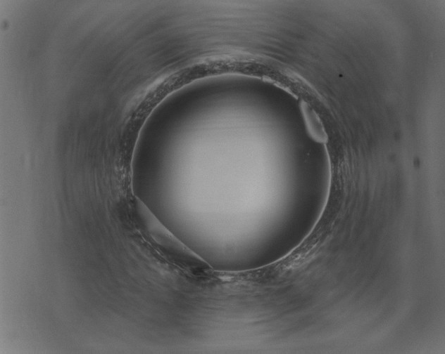 X0000071770822200606301153