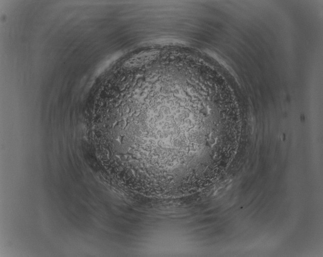 X0000071770823200606301153