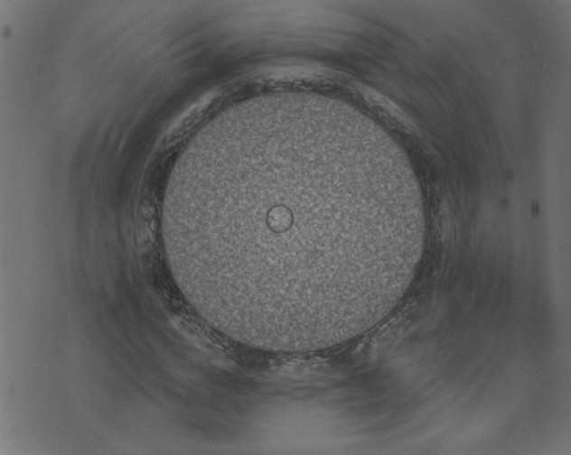 X0000071770824200606301153