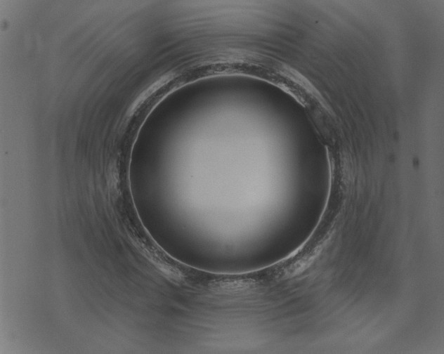 X0000071770826200606301153