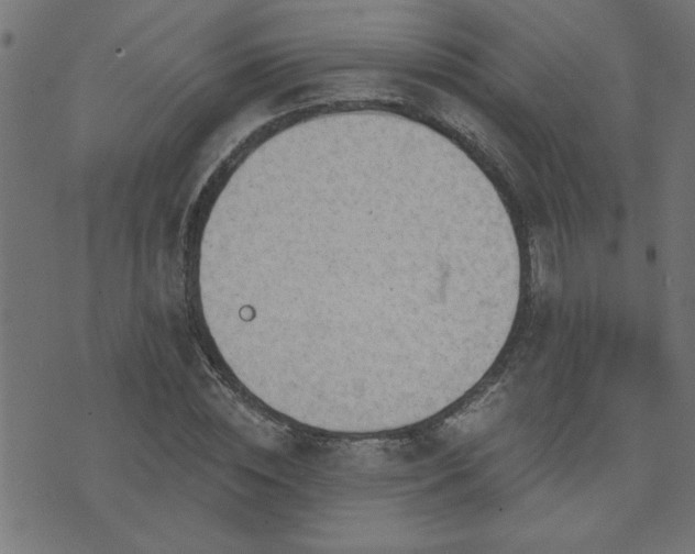 X0000071770828200606301153