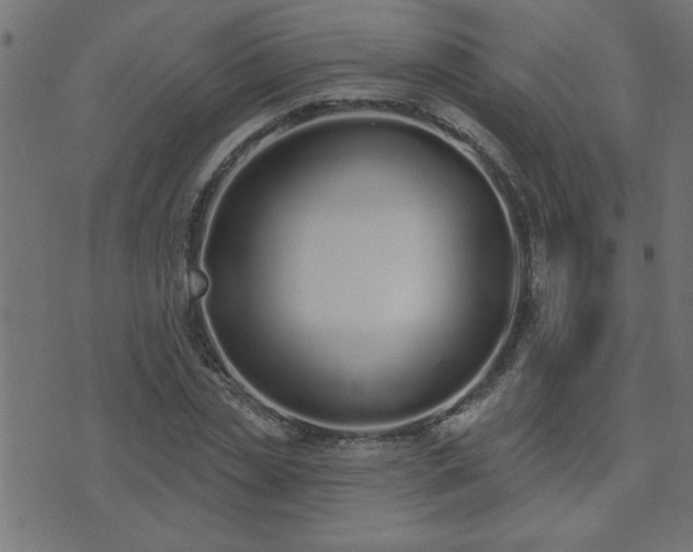 X0000071770829200606301153