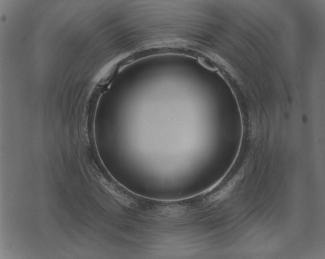 X0000071770830200606301153