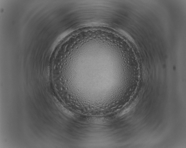 X0000071770831200606301153