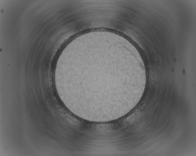 X0000071770832200606301153