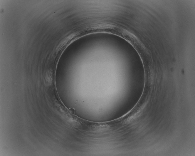 X0000071770833200606301153