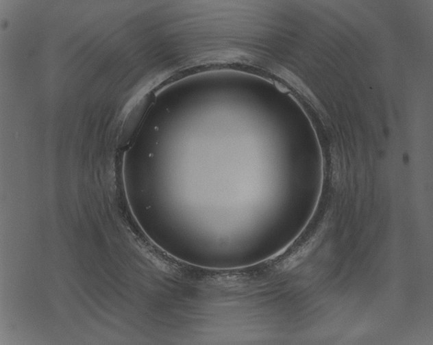 X0000071770834200606301153