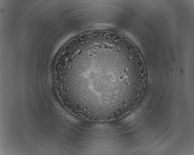 X0000071770835200606301153