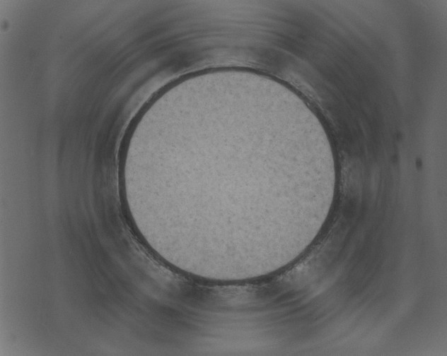 X0000071770836200606301153