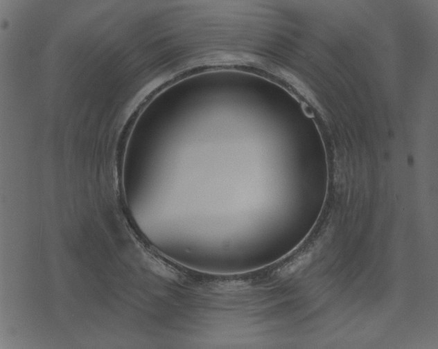 X0000071770837200606301153