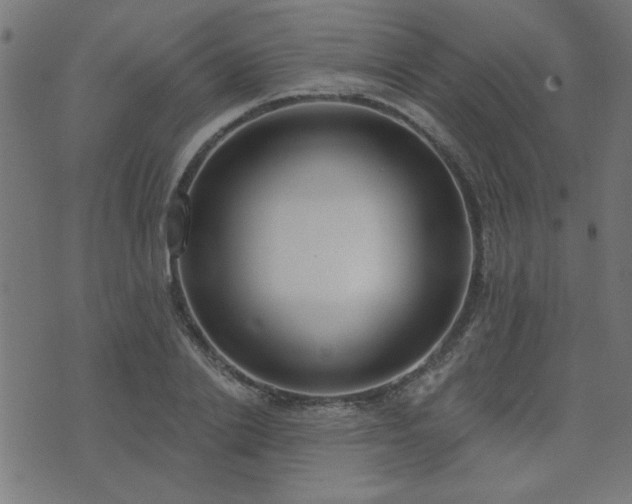 X0000071770838200606301153