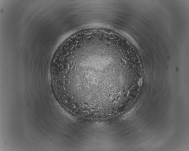 X0000071770839200606301153