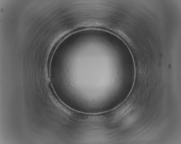 X0000071770840200606301153