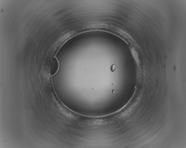 X0000071770841200606301153