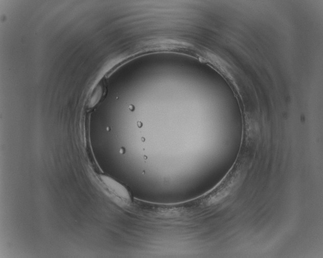 X0000071770843200606301153