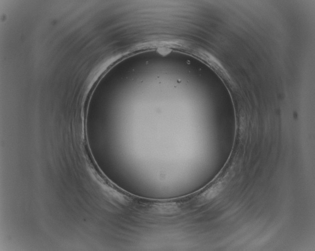 X0000071770844200606301153