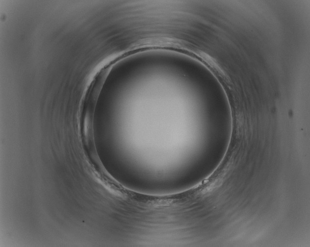 X0000071770846200606301153