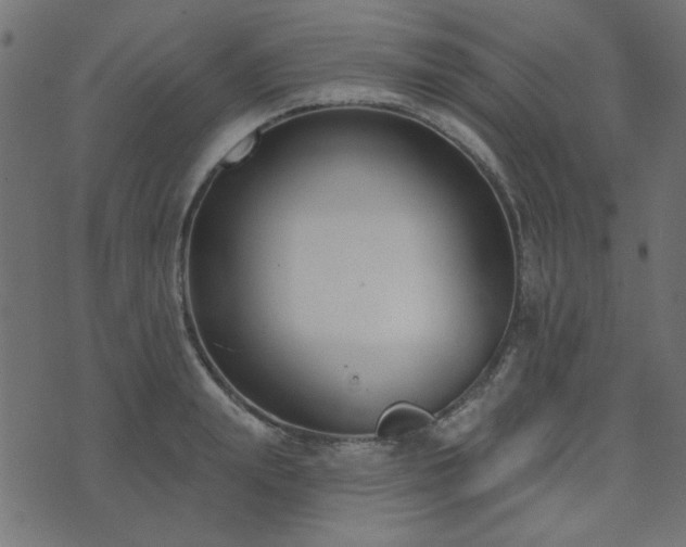 X0000071770847200606301153