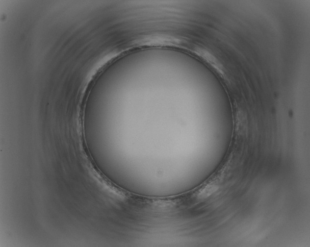 X0000071770848200606301153