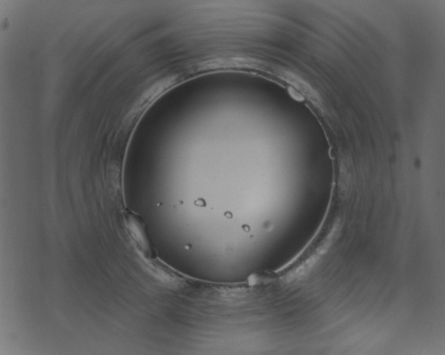 X0000071770849200606301153