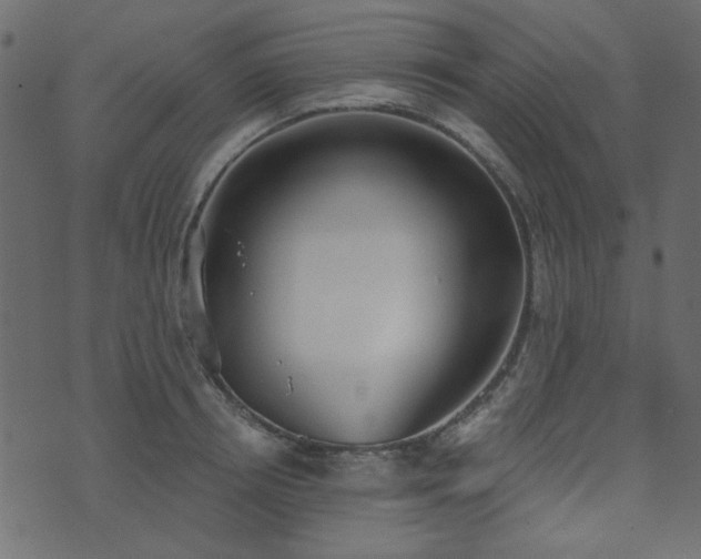 X0000071770850200606301153