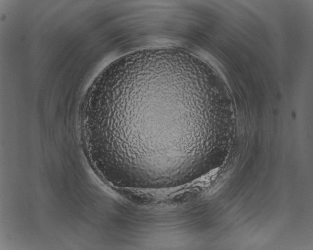 X0000071770851200606301153