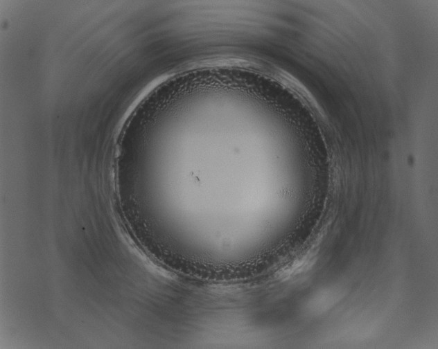 X0000071770852200606301153