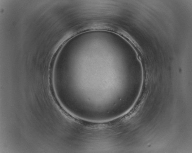 X0000071770853200606301153