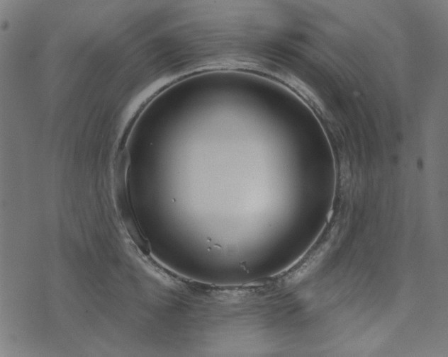 X0000071770854200606301153