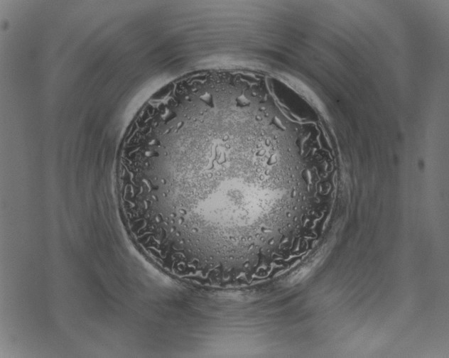 X0000071770855200606301153