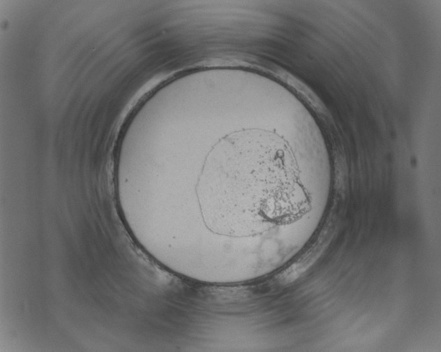 X0000071770856200606301153