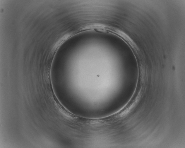 X0000071770857200606301153