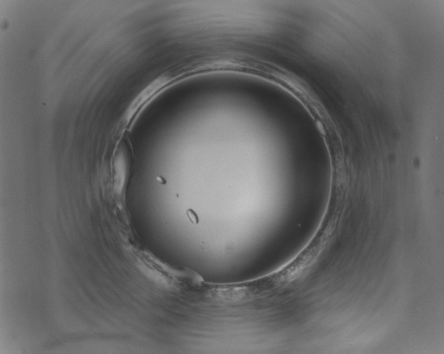 X0000071770858200606301153