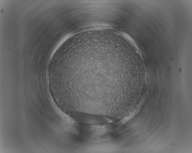 X0000071770859200606301153