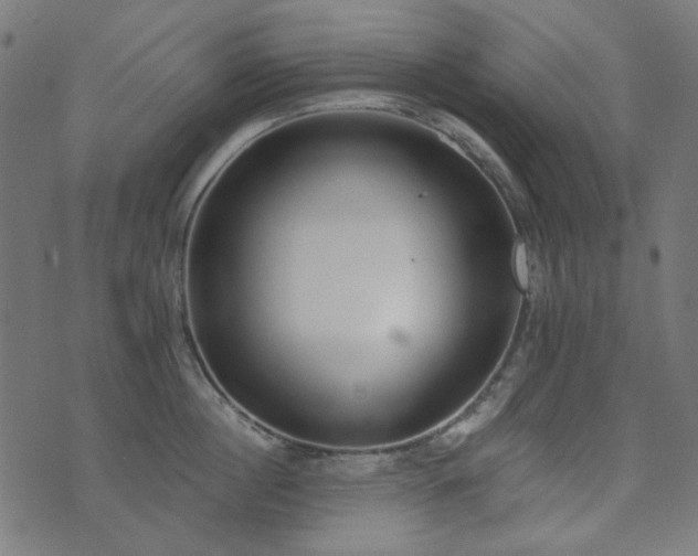 X0000071770860200606301153