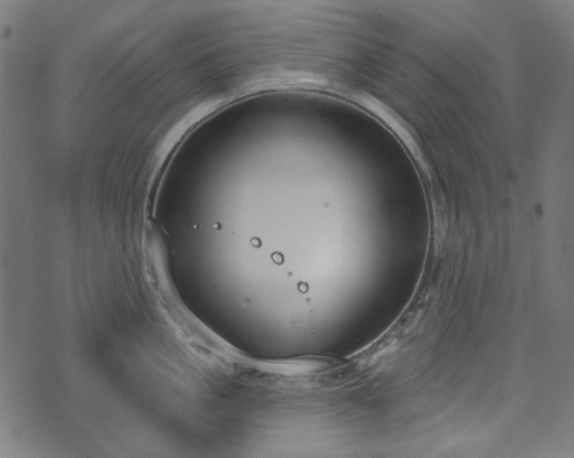 X0000071770861200606301153