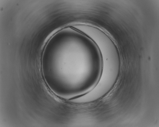 X0000071770862200606301153